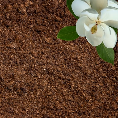 GARDENWISE Peat Moss for Plants – Organic Sphagnum Peat Moss for Orchids, Terrariums, Seed Starting, Reptiles & Potting Soil Mix (3 quarts) - color: Organic Sphagnum Peat Moss, size: 3 qt