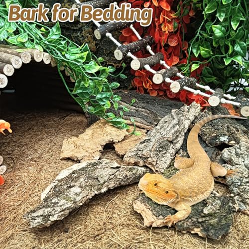 BNOSDM Reptile 16oz Cork Bark Substrate and Wooden Hideout Platform for Lizard, Gecko