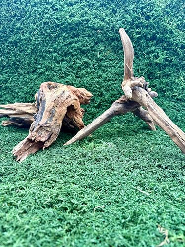 3 Coral Wood Aquarium Decoration Small, Rustic Brown Wood Branch, Reptile Climbing Decor for Terrariums, Fish Tanks 6-10 inches