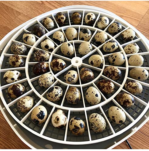 Generic 3D Printed Quail Egg Turner for Nurture Right 360 Incubator