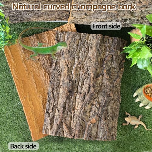 Hamiledyi Cork Terrarium Background 11.8x7.9in 6PCS Natural Reptile Cork Bark Flats Terrarium Board Bearded Dragon Climbing Wall Mat Tank Decor for Lizard Chamelon Snake Turtle Spider Crested Gecko - size: 6PCS-11.8x7.9in