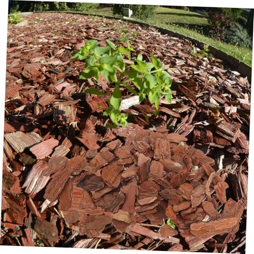 Mikikit Natural Reptile Bark Bedding for Terrariums 1kg Decor Bark Chips for Tortoises Lizards and Snakes Substrate for Reptile Habitats