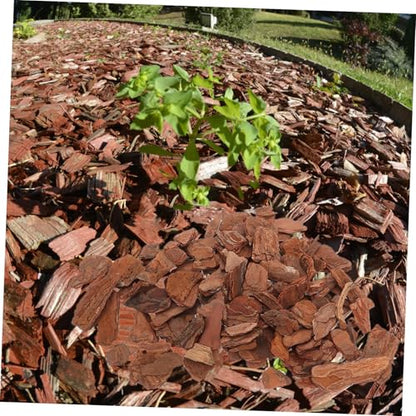 Mikikit Natural Reptile Bark Bedding for Terrariums 1kg Decor Bark Chips for Tortoises Lizards and Snakes Substrate for Reptile Habitats