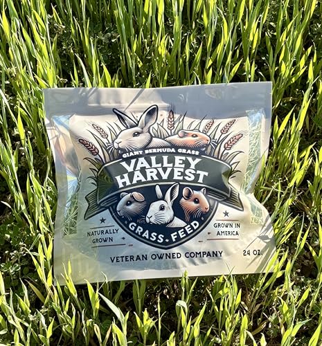 Grass Hay – Nutritious Feed for Rabbits, Guinea Pigs, Chinchillas, Tortoises & Hamsters – Natural Snack & Daily Feed for Small Pets