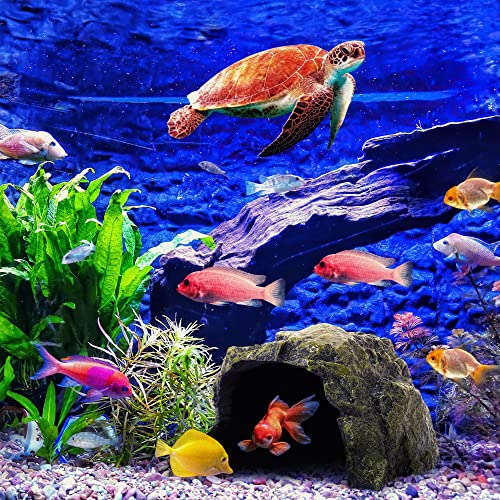 Reptile Rock Hide Cave for Lizards, Turtles, Snakes - Non-Toxic Resin Aquarium Rock Cave, Reptile Hideout & Terrarium Decor Naturalistic Habitat for Amphibians & Fish