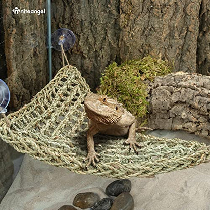 Niteangel Bearded Dragon Hammock Reptile Lounger for Chameleon, Lizards, Gecko, Snakes, Lguana Reptiles, Geckos (Triangle 17'' x 12.5'') - size: Triangle 17'' x 12.5''