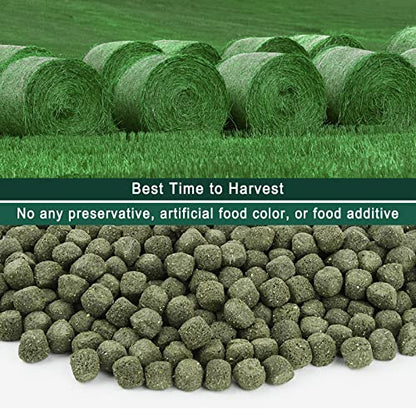 Timothy Hay Cubes 10 oz with Small Size - Timothy Grass Pellets for Tortoises Rabbits Guinea Pig Chinchilla | Small size timothy grass pellets, suitable for tortoises, rabbits, guinea pigs, chinchillas - size: 10 Ounce (Pack of 1)