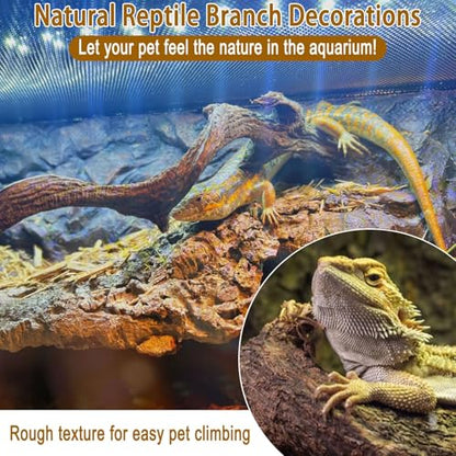 BNOSDM Reptile Forest Climbing Branch Decor Crested Gecko Climb Wood Natural Branches Tree for Snake Frog Chameleon Spider Bearded Dragon Terrarium Habitat Tank Accessories,3PCS