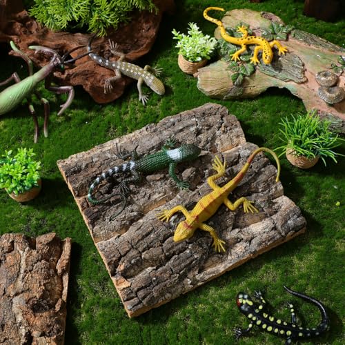 SHINEOFI Cork Bark Reptile Terrarium Background 4 Pcs Tank Decor for Gecko Lizard Frog Bearded Dragon Natural Bark Pieces for Aquarium 5.90 X 5.90 X 0.78 in