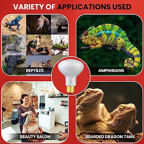 Reptile Heat Lamp Bulb 100 Watts UVA Basking Light for Reptiles and Amphibian, Basking Light for Bearded Dragon, UVA Reptile Light Bulb E26 Base 2 Pack - style: 100WR25-WHITE-2PK