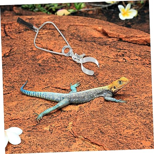 Toddmomy 8pcs Adjustable Clamp Lamp Stand Fixture for Reptile Heat Lamps Lightweight Portable Holder for Turtles Lizards Easy Installation Materials