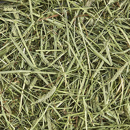Kaytee Timothy Hay, High Fiber, Grown Specifically for Small Animals, Rabbits, Guinea Pigs, Chinchillas, Ideal Bulk Order for Small Pets, 3 Pounds - size: 3 Pound (Pack of 1)