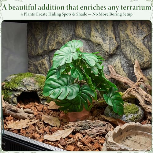 Suncalla 4 Pack Reptile Plants for Terrarium Decor, Snake Tank Accessories, Amphibian Habitat Decor, and Artificial Plants with Base for Bearded Dragon, Gecko, Lizard, Chameleon(Monstera Deliciosa) - style: Monstera Deliciosa