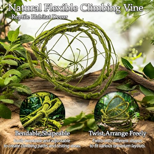 Reptile Plants 10 Pcs Terrarium Hanging Plant Vines Jungle Climbing Vines Tank Accessories Decorations with Suction Cups for Bearded Dragon Lizard Snake Geckos Chameleon