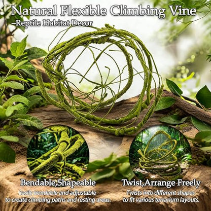 Reptile Plants 10 Pcs Terrarium Hanging Plant Vines Jungle Climbing Vines Tank Accessories Decorations with Suction Cups for Bearded Dragon Lizard Snake Geckos Chameleon