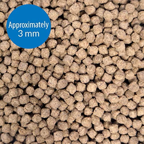 API Bottom Feeder PELLETS with Shrimp Fish Food 1.3-Ounce Container (Pack of 2) - size: 1.5 Ounce (Pack of 2), style: Bottom Feeders