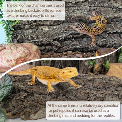 Hamiledyi Cork Terrarium Background 11.8x7.9in 10PCS Natural Reptile Cork Bark Flats Terrarium Board Bearded Dragon Climbing Wall Mat Tank Decor for Lizard Chamelon Snake Turtle Spider Crested Gecko - size: 10PCS-11.8x7.9in