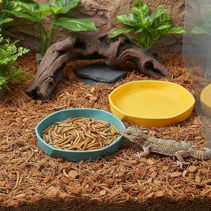 4PCS Reptile Food Dish, Round Plastic Reptile Water Bowl, Reusable Escape Proof Reptiles Feeding Dish for Lizards, Geckos, Bearded Dragons, Chameleons, Hermit Crabs, and Other Small Reptiles