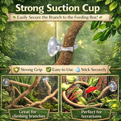 HERCOCCI Crested Gecko Tank Accessories, Reptile Hanging Plants Vines with Coconut Shell Ladder Hideout Hermit Crab Decor for Lizard, Chameleon Cage, Snakes, Hermit Crab, Leopard Gecko
