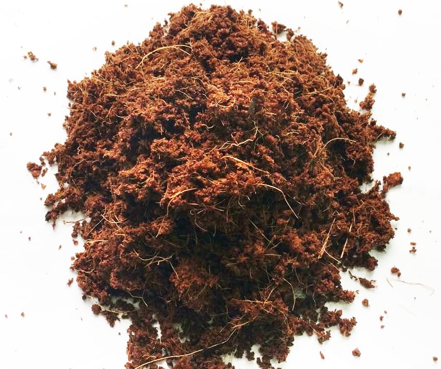 PlantBest Coco Garden Soil 11 lb. Compressed Coconut Coir Block – Expands to 19.8 Gallons, Peat-Free Growing Medium for Gardening and Hydroponics