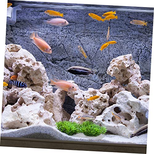 DECHOUS 10pcs Stainless Steel Aquarium Plant Mesh Grass Decor Net Fish Tank Accessory Rustproof Fish Tank Plant Holder