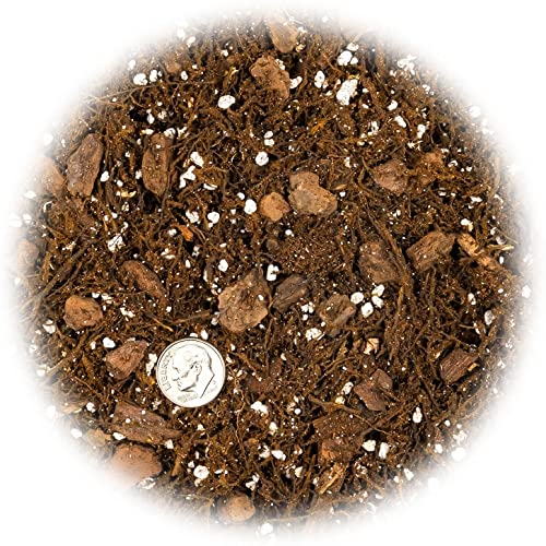 Premium Gardenera House Plant Potting Mix | Fern + New Zealand Bark + Perlite | Great for Pothos, Spider Plants, Montsera, Philodendron, English Ivy - 2 Quart Bag - color: HOUSE PLANT POTTING MIX, size: 2 Quart