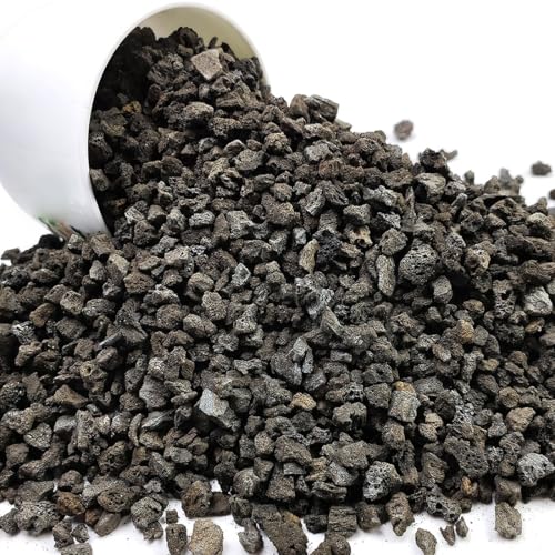 YISZM Black Horticultural Lava Rocks for Plants, 5lb Succulents Cactus Bonsai Soil Volcanic Rocks for Aquarium Outdoor Decorative Stones for Craft Projects, Vase Fillers - color: Black Lava Rock, size: 5 Pounds