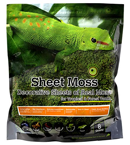 Galápagos (05248) Sheets of Real Moss, 8-Quart, Natural,Green (Pack of 6) - size: 8 quarts (Pack of 6)