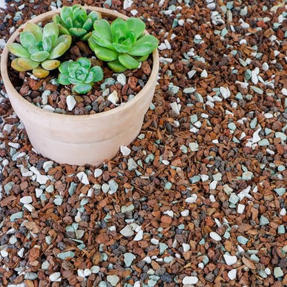Bonsai Soil 10QT,Fast Draining Organic Potting Soil Mix Perlite,Lava,bark,Volcanic Rock,Green Zeolite,Premium Pre Mixed Bonsai Soil for Potted Plants - size: 10 Quart