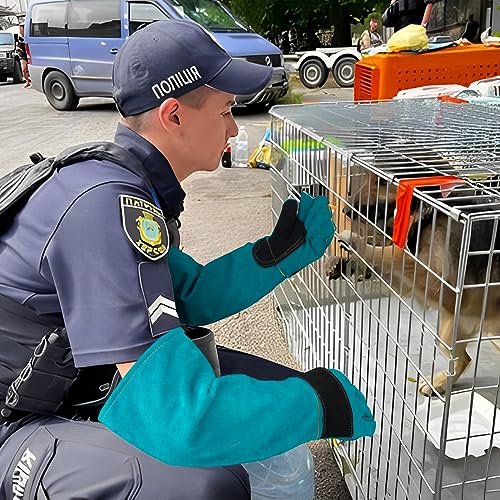 Animal Handling Glove Anti Scratch Protective Gloves for Training Dogs Cat Bird Snake Parrot Lizard Wild Animals Reptiles,Bite Resistant Gloves