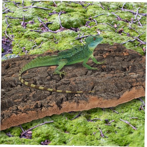 Luxshiny 2 Pcs Natural Cork Bark Aquarium Bark Terrarium Decor for Reptiles and Fish Tanks Climbing and Hiding Spots for Bearded Dragons Lizards Geckos Safe and Easy to Install Wall