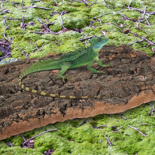 Toddmomy 4pcs Bark Fish Tank Decoration Versatile Terrarium Climbing Bark for Snake and Gecko Habitat Safe Materials for Reptile and Aquarium Setup Trimmable Design for - size: 4pcs