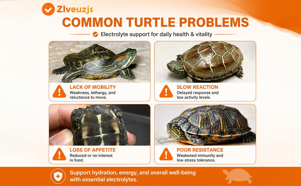 Turtle Electrolyte Powder—Promotes Appetite and Vitality—Contains Probiotics and Vitamins (2.82 oz) Banana Flavor | Promotes Appetite and Vitality—Contains Probiotics and Vitamins