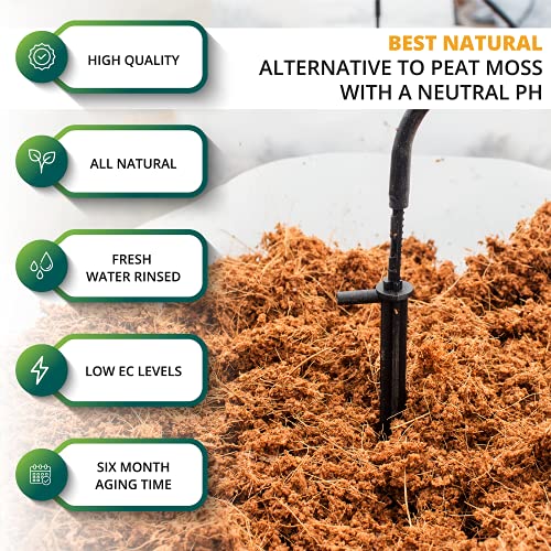Coco Coir Bricks 5-Pack (650g Each) – Peat-Free Coconut Coir/Peat, Low EC & pH Balanced, High Expansion Seed Starter for Potting Mix, Hydroponics, Mushroom Substrate & Reptile Bedding