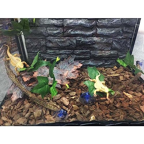 Climbing Vine Small Pet Suction Cup Branch Climbing Vine with Suction Cup Branch for Lizards Reptiles