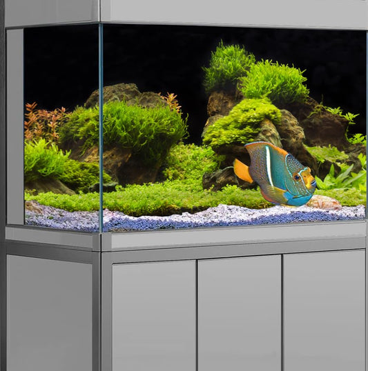 24X12 Inches Fish Aquarium Background, Black River Bed & Lake Aquatic Plant Terrarium Background Decor, Moss Grass Landscape Durable Polyester Background with 8 EVA Double-Sided Tapes - color: green-02, size: 24X12in/60X30cm