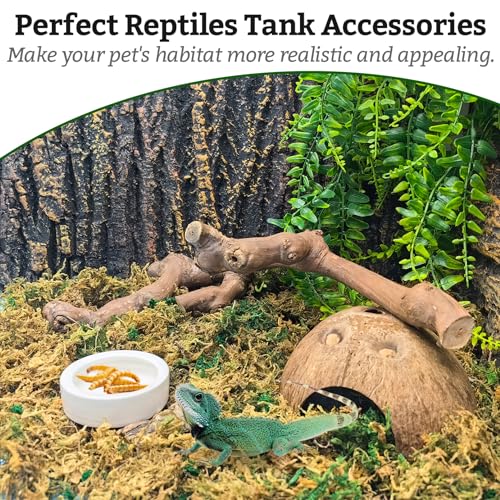 VCEPJH Snake Climbing Branch, 2Pcs Reptile Wood Natural Cork Log and Reptile Soil Substrate Burrowing Tortoise Bedding for Snake Tarantula Gecko Lizard Spidey Frog Hermit Crab