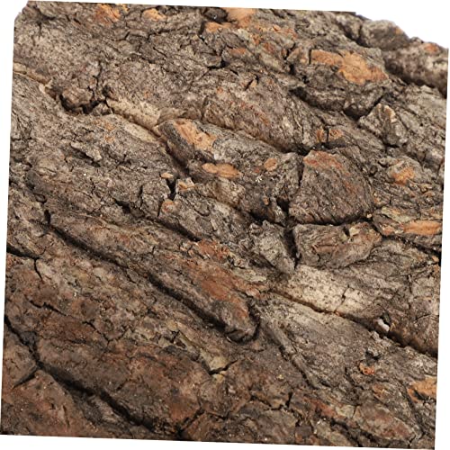balacoo 6pcs Bark Terrarium Decor Stylish Reptile Background for Aquarium Tank Easy Placement for Reptiles Turtles Hamsters