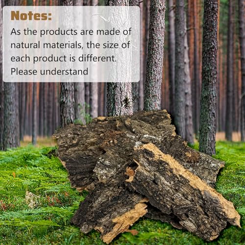 VCEPJH 2 Pack Reptile Wood Branches, Snake Climbing Branch and Cork Bark for Reptiles, 4 Pcs Natural Cork Flats for Snakes Spiders Bearded Dragons