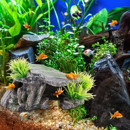 KOOBOOK 1Pcs Creative Resin Rock Cave for Aquarium Decor Amphibians Spiders Frogs Funny Hiding Spot in Fish Tank Reptile Simulation Rock Cave Terrarium Turtle Hideout