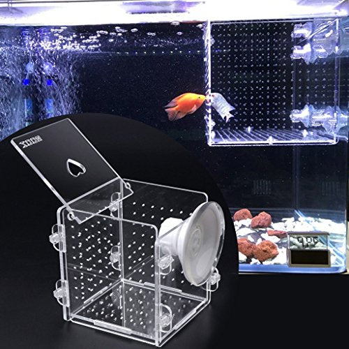 Fish for Hatchery Incubator Aquarium Breeding Box Acrylic Breeder Isolation Hatching Boxes with Suction Cup