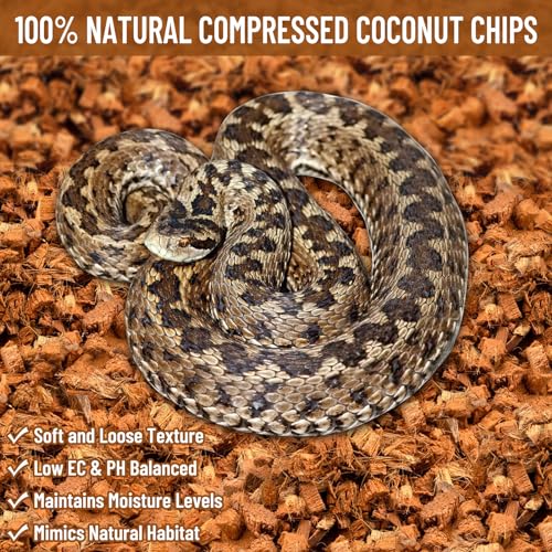 Riare 10LB Coconut Chip Substrate for Reptiles, 72 Quart Coconut Fiber Substrate Coco Chips Substrate Coconut Husk Bedding for Snakes, Tortoises, Ball Python, Bearded Dragon, Geckos, Lizards, Frogs - color: 1 Pack-10LB