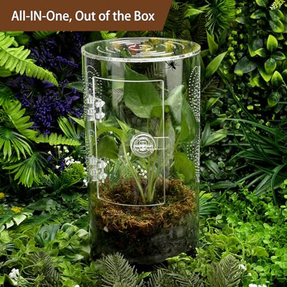 Jumping Spider Enclosure, 11.5”*6”*6”, Air Hole 3/64" Micro Habitat Terrariums, Arboreal Reptile Tank with Front Opening Door,Tarantula Enclosure, Plant Greenhouse