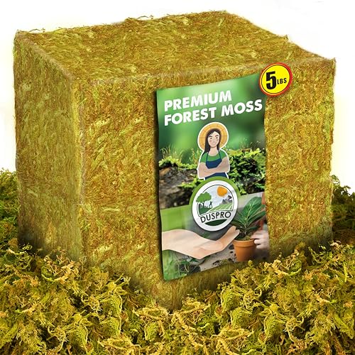 DUSPRO 5 LBS Big Bag Dried Forest Moss for Plant Propagation Sphagnum Moss Bulk for Orchid Repotting Mix Organic Soil Medium Bale Premium Hand Selected - color: 5 LBS