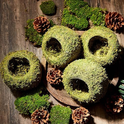 Tinideya 4 Pcs Mossy Cave Hide Artificial Green Reptile Mossy Hideout 4 Inch Humidity Crested Gecko Tank Decor for Pet Reptile Frogs Snakes Turtle Spider Lizard Chameleon, Terrarium Vivarium Decor