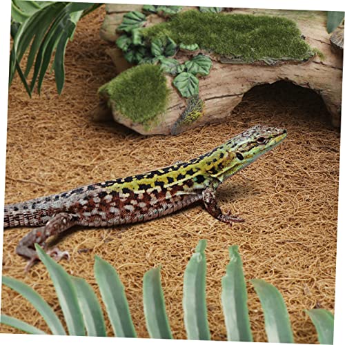 Reptile Carpet Natural Coconut Fiber Mat Washable Bedding Liner for Terrarium Use for Lizards Snakes and Tortoises Soft and Easy to Clean