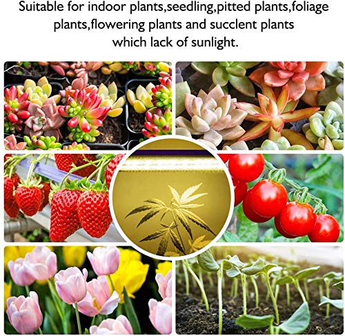 LED Grow Lights Strips for Indoor Plants with Auto ON & Off Timer, T5 Sunlike Full Spectrum Grow Lights Bar Growing Lamps for Greenhouse Shelves Hydroponics Succulent, 4 Dimmable Levels - size: M/4pcs
