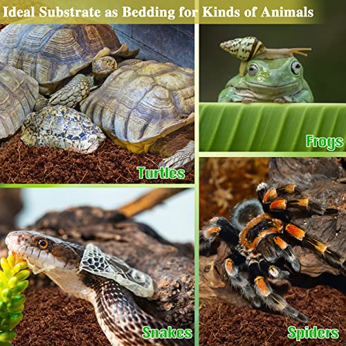ZeeDix 6 Pack Coconut Fiber Substrate, 100% Organic Coconut Husk Coco Coir Brick Terrarium Bedding for Reptiles, Tortoise, Bearded Dragon, Leopard Gecko, Snake, Hermit Crabs, Frogs, Tarantula - color: 6pcs