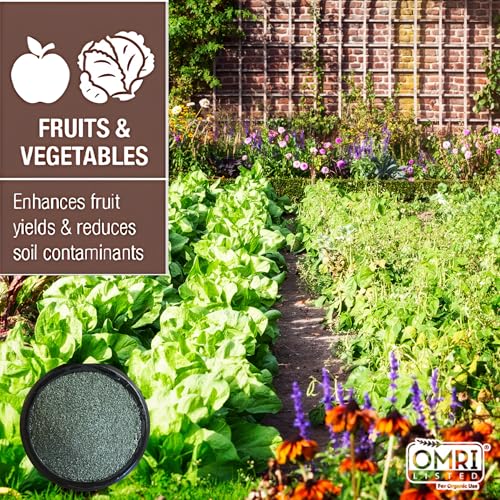 Zeolite Granular 24 lbs, Clinoptilolite 1.4–4 mm, Soil Amendment for Plants, Succulents & Bonsai, Improves Drainage and Odor Control, Aquarium Filter Media - style: Granular - 24 lbs