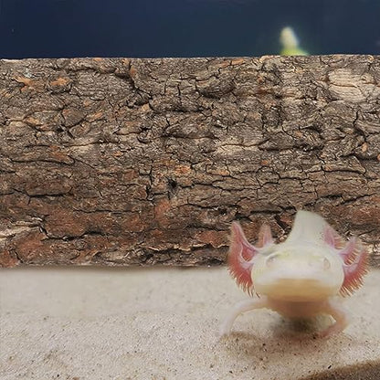 HOMSFOU Cork Tile Terrarium Background 4Pcs Reptile Bark Backdrop Decor 3D Bearded Dragon Tank Climbing Mat Carpet Decoration for Spider Gecko Lizard Bearded Dragon